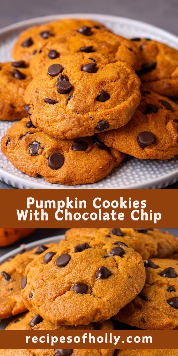 Whenever you’re in the mood for a sweet and seasonal delight, these Pumpkin Cookies with Chocolate Chips offer a soft, chewy texture infused with warm spices and studded with rich chocolate, making them an irresistible autumn treat.