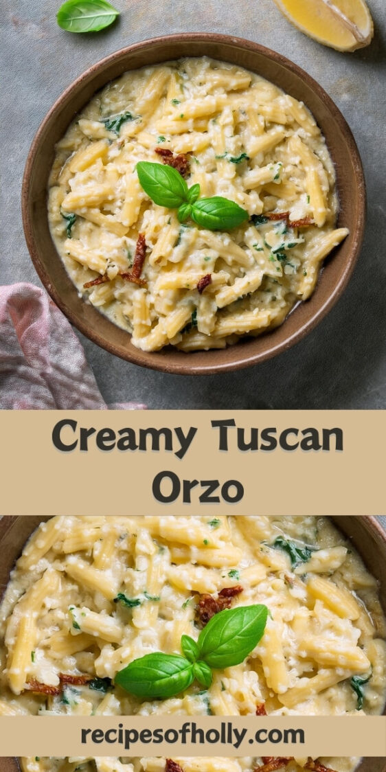 Deliciously creamy Tuscan Orzo made with tender orzo pasta simmered in a rich, garlic-Parmesan sauce, and packed with sun-dried tomatoes, spinach, and Italian herbs. This easy, one-pan dish offers a perfect balance of creamy textures and vibrant flavors. Ideal as a comforting main dish or a side, it's a satisfying meal that's ready in just minutes.