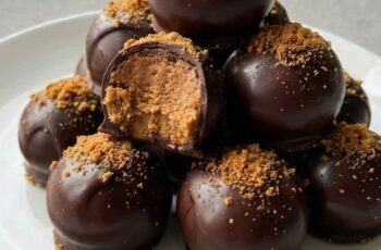 Dark Chocolate Biscoff Truffles, No-Bake & Melt-in-Your-Mouth