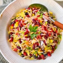 This Orzo Pasta Salad is a vibrant blend of fresh and colorful ingredients, complemented by a tangy, slightly sweet vinaigrette. It’s a light yet satisfying dish, perfect for potlucks, picnics, or as a refreshing side to a main meal!