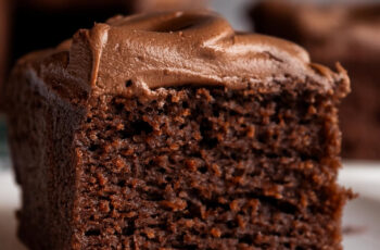Chocolate Snack Cake is a simple yet decadent dessert that features a moist, fluffy texture and a rich chocolate flavor. Topped with a thick layer of creamy chocolate frosting, this cake is perfect for satisfying your sweet cravings.