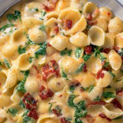 Tuscan Mac and Cheese is the ultimate comfort dish with sun-dried tomatoes, baby spinach, and three cheeses in a creamy herb sauce over tender shells. So dreamy!