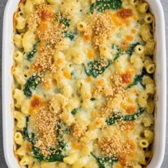Healthy Mac and Cheese just got a glow-up! Packed with creamy cheddar, baby spinach, and a crispy breadcrumb topping—this cozy classic is lightened up and absolutely delicious!