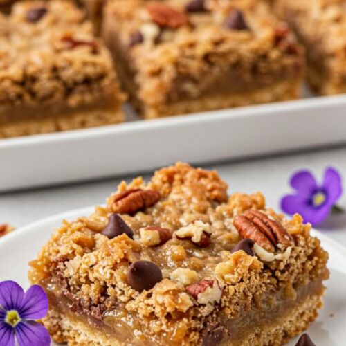 Hello Dolly Bars bring together a buttery graham cracker crust, gooey condensed milk, chocolate, coconut, and pecans for an irresistible, layered treat!