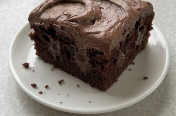 Classic Chocolate Snack Cake with Soft, Moist Texture and Simple Frosting